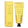 SPONGELLE - Hand Cream - Honey Blossom 008406 57g/2oz