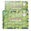 Coconut Lime Vegan Lip Balm | Organic, Ayurvedic, Eco-Friendly Biodegradable Tube | Moisturizing & Nourishing